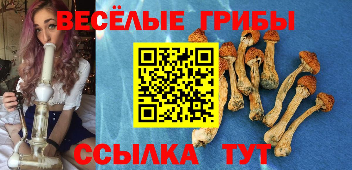 Галлюциногенные грибы Magic Shrooms  Вход с VPN  Новокубанск 