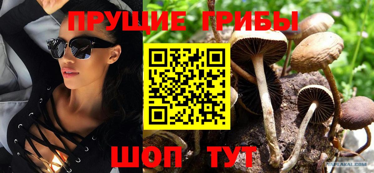 Новокубанск  Каннабис  Вейп ТГК  APVP СК   ГАШИШ  Гашиш  Вход с VPN  Меф кристаллы 