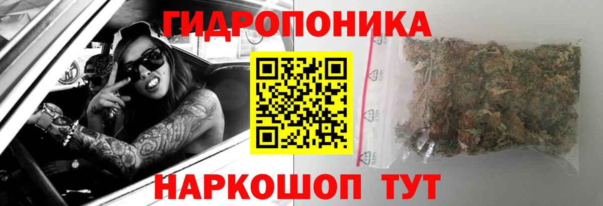 Конопля LSD WEED  Вход с VPN  Канабис план  Бошки Шишки планчик  Новокубанск 